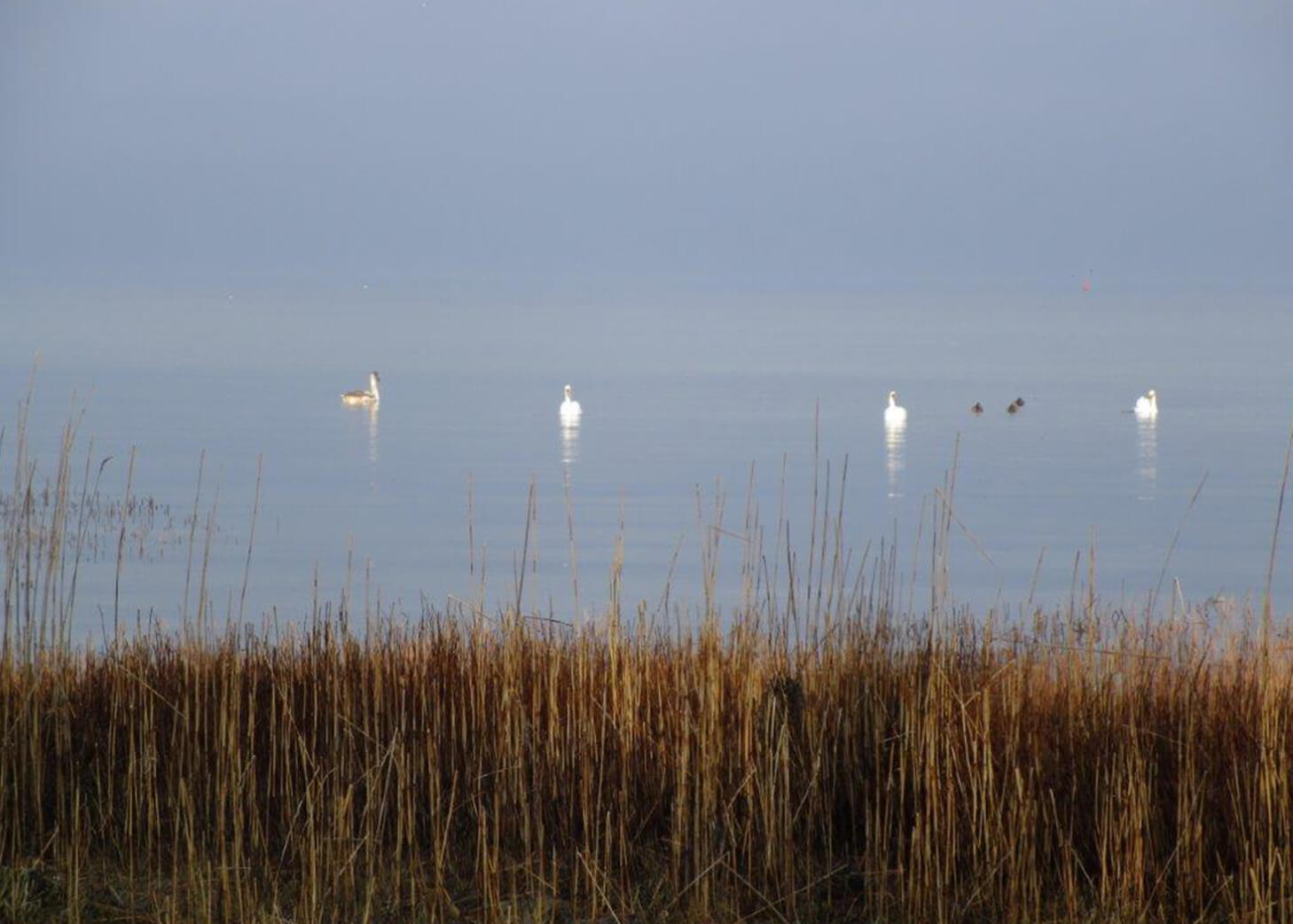 Blick Ostsee